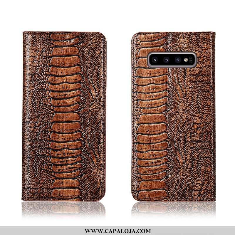 Capa Samsung Galaxy S10+ Soft Masculino Pássaro Telemóvel Castanho, Capas Samsung Galaxy S10+ Protet