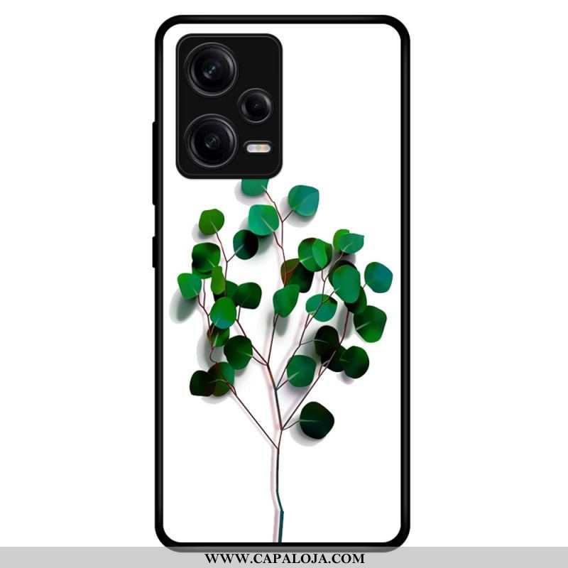 Capa Para Xiaomi Redmi Note 12 Pro Vidro Temperado Vegetal